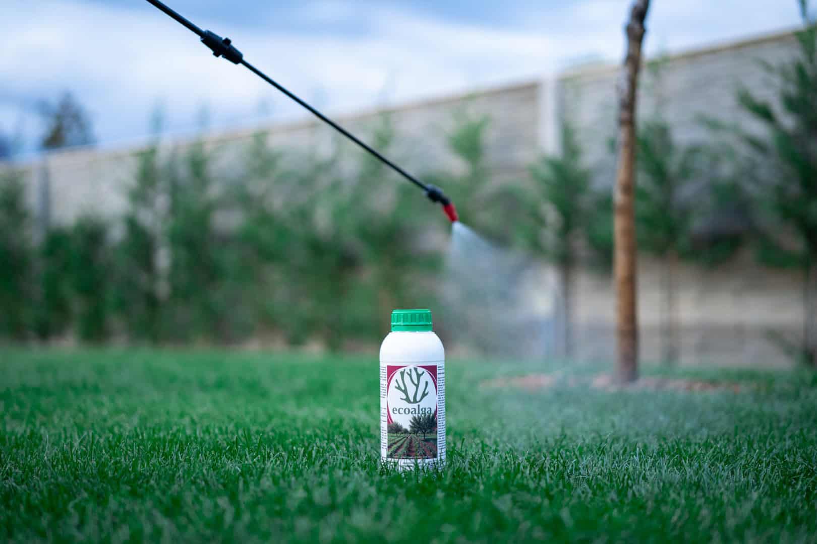 Stropire cu fertilizant lichid pe gazon verde