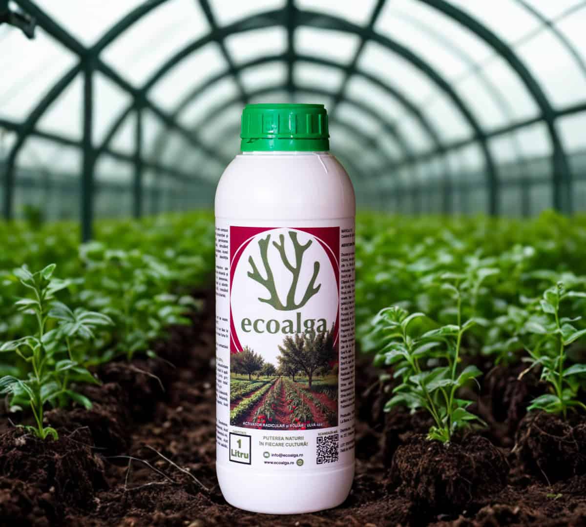 Sticlă Ecoalga în seră cu plante verzi