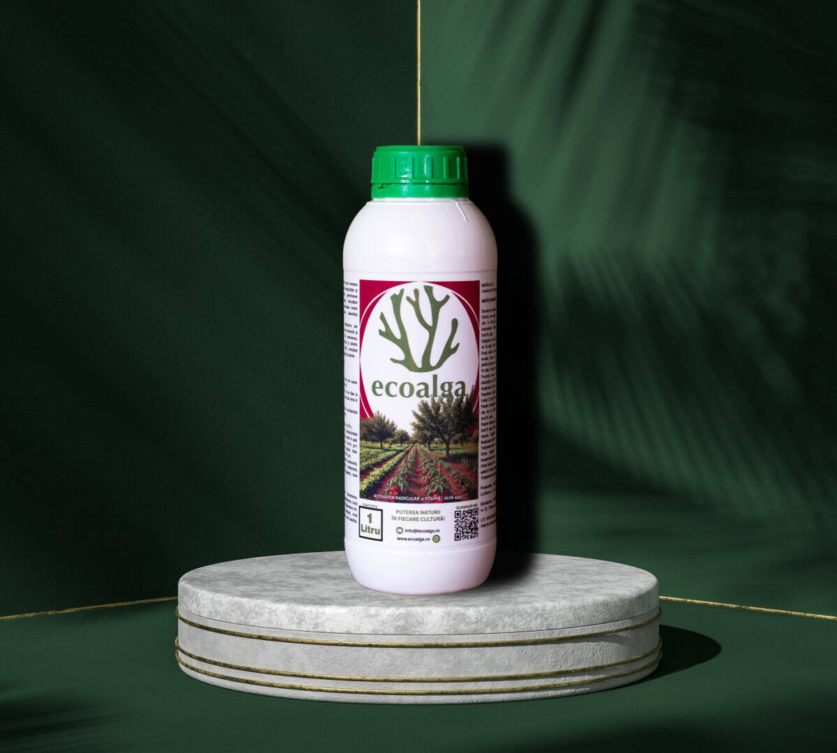 Recipient Ecoalga pe fundal verde elegant.