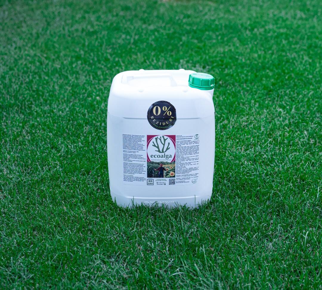 Recipient Ecoalga pe iarba verde, îngrășământ natural