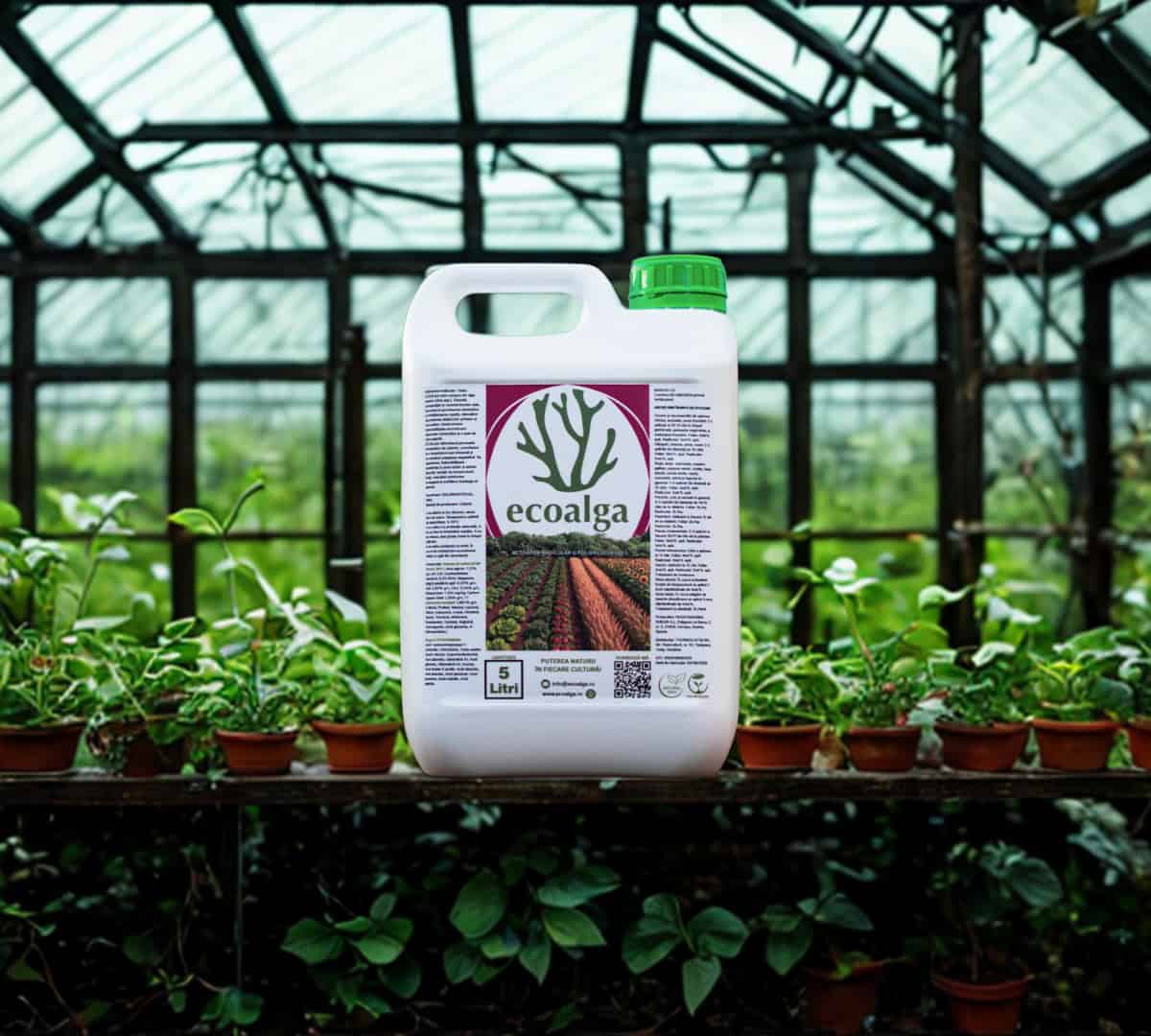 Recipient ecoalga în seră plină cu plante