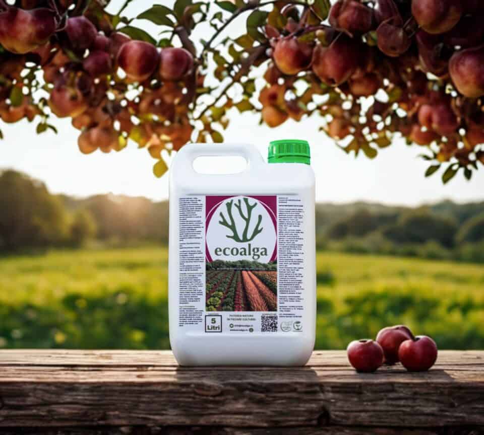 Bidon Ecoalga pe masă în livadă cu mere.