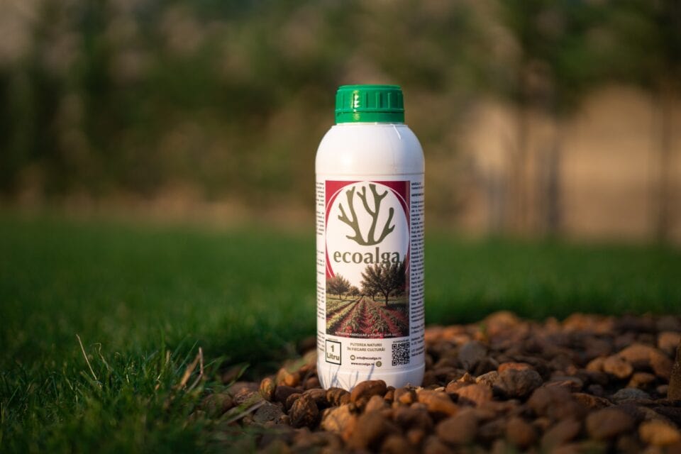 Recipient fertilizant Ecoalga pe gazon și pietre.