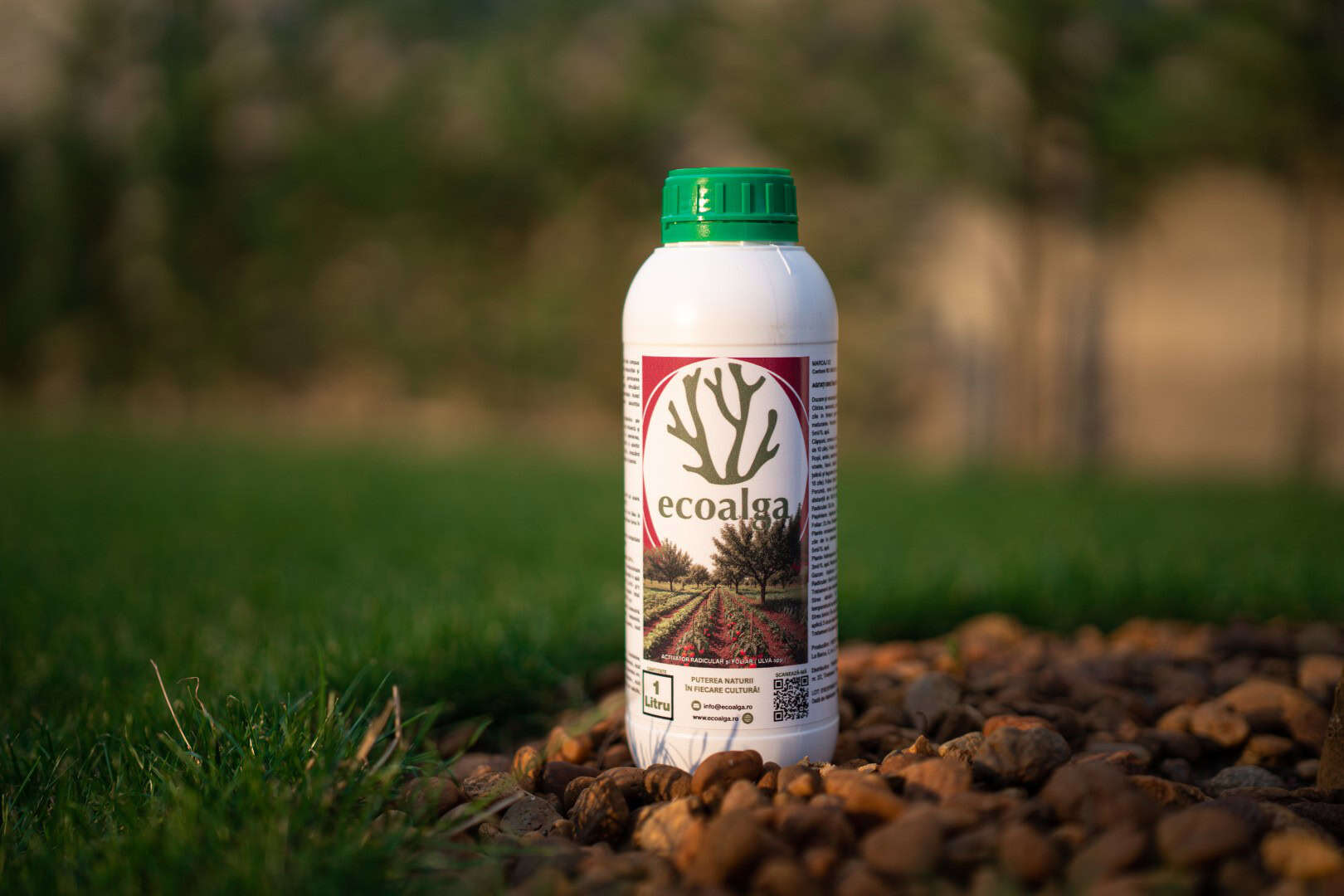 Recipient fertilizant Ecoalga pe gazon și pietre.